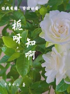 栀枝是什么意思